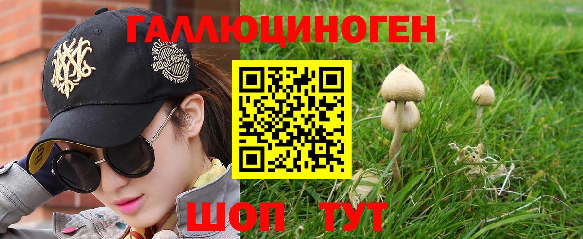 купить наркотик  Псилоцибиновые грибы ЛСД  Вход с VPN  Кушва 