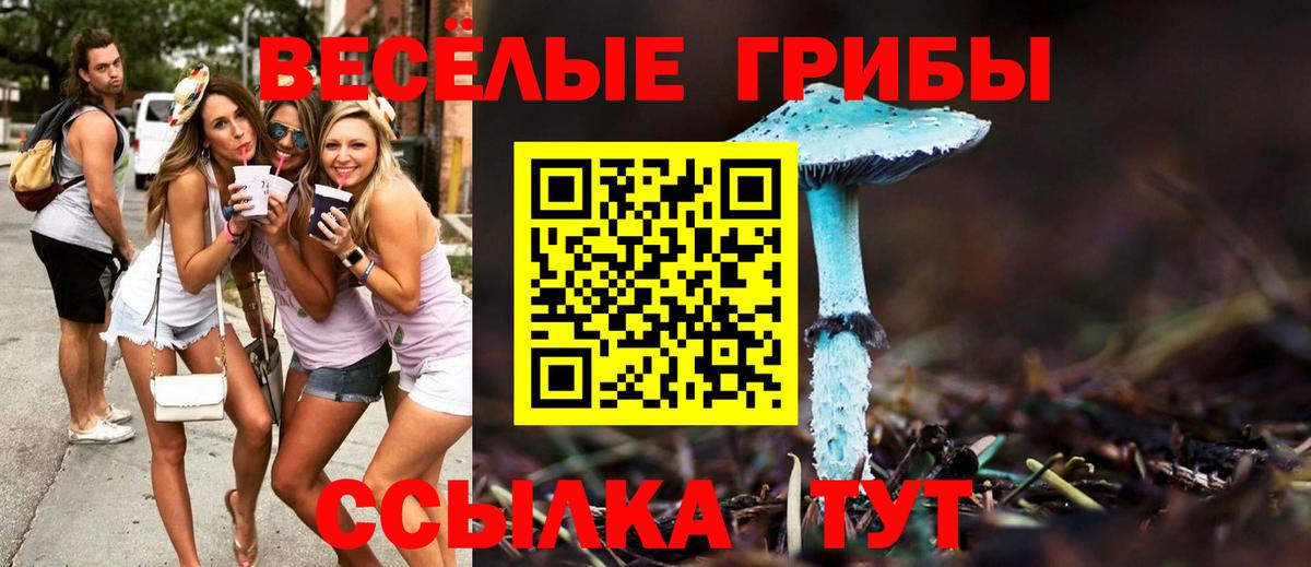 Псилоцибиновые грибы Psilocybine cubensis Кушва